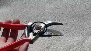 Scrub the Turning Point-How to Clean Pruning Shears？